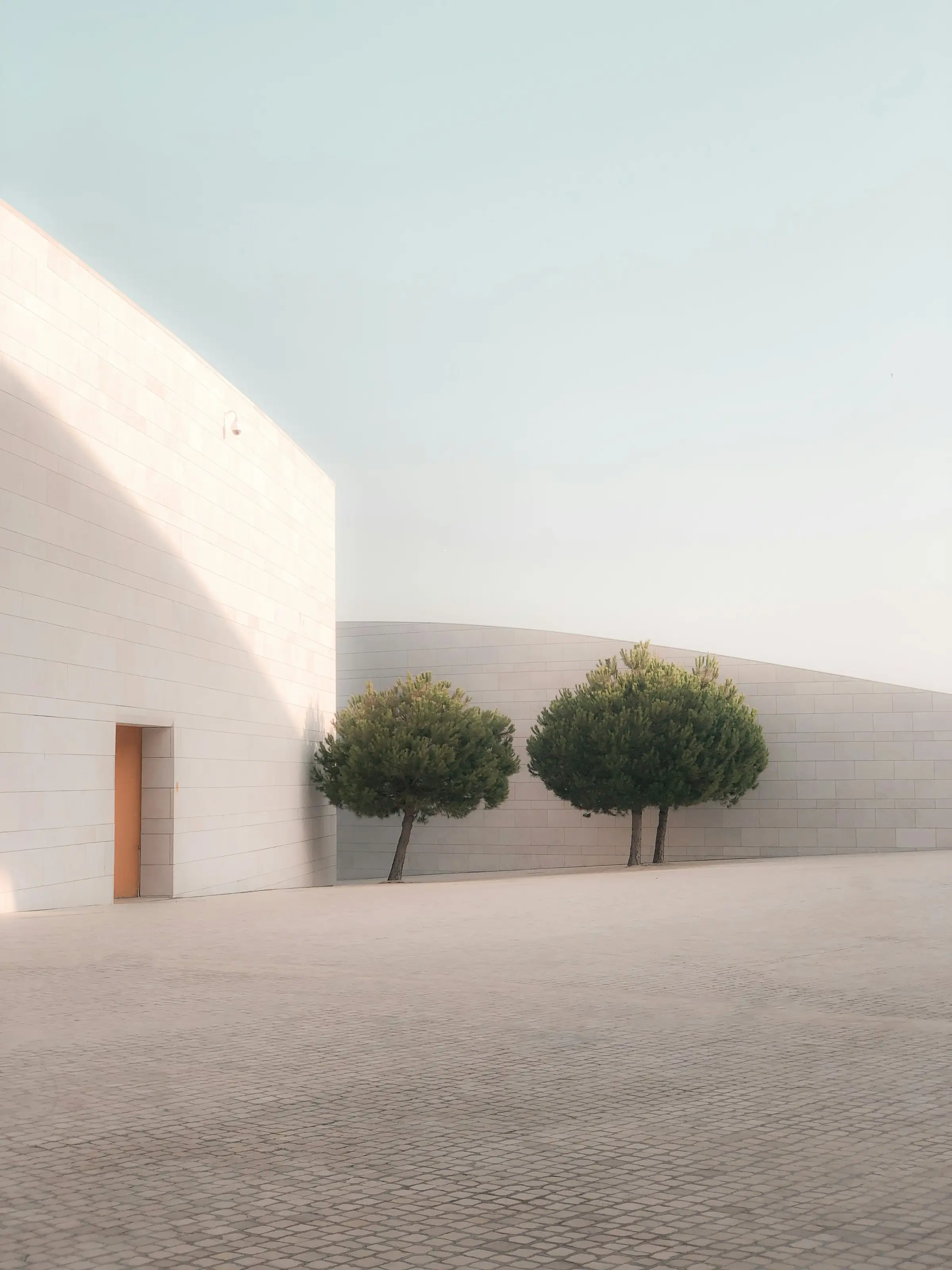 Muro blanco encalado con dos árboles y sombras suaves